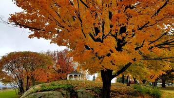 Fall Splendor