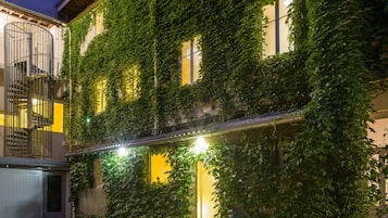 Cour