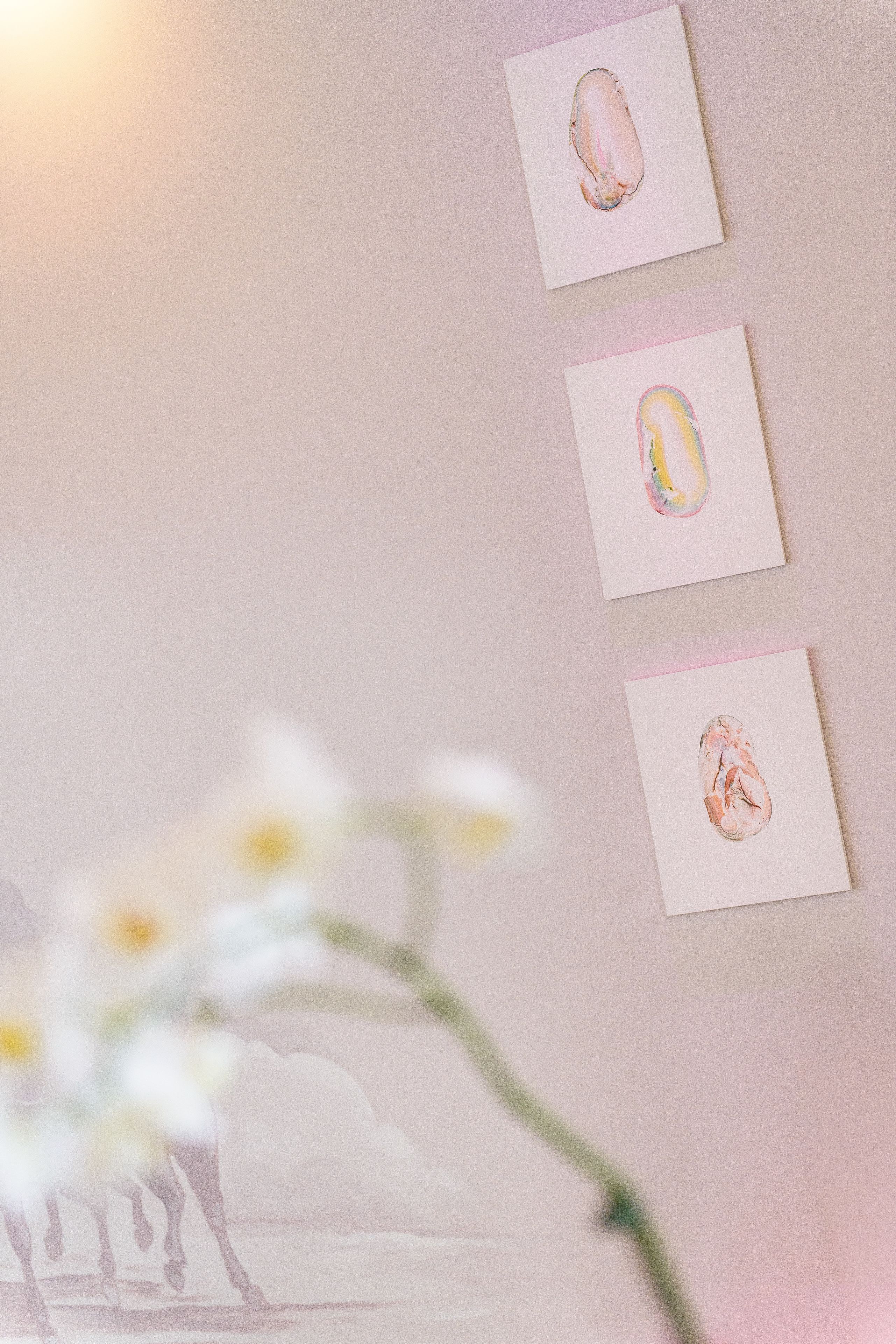 daily continental breakfast (eur 9.00 per person)