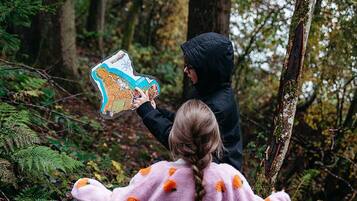 A forest scene with a person holding a map.