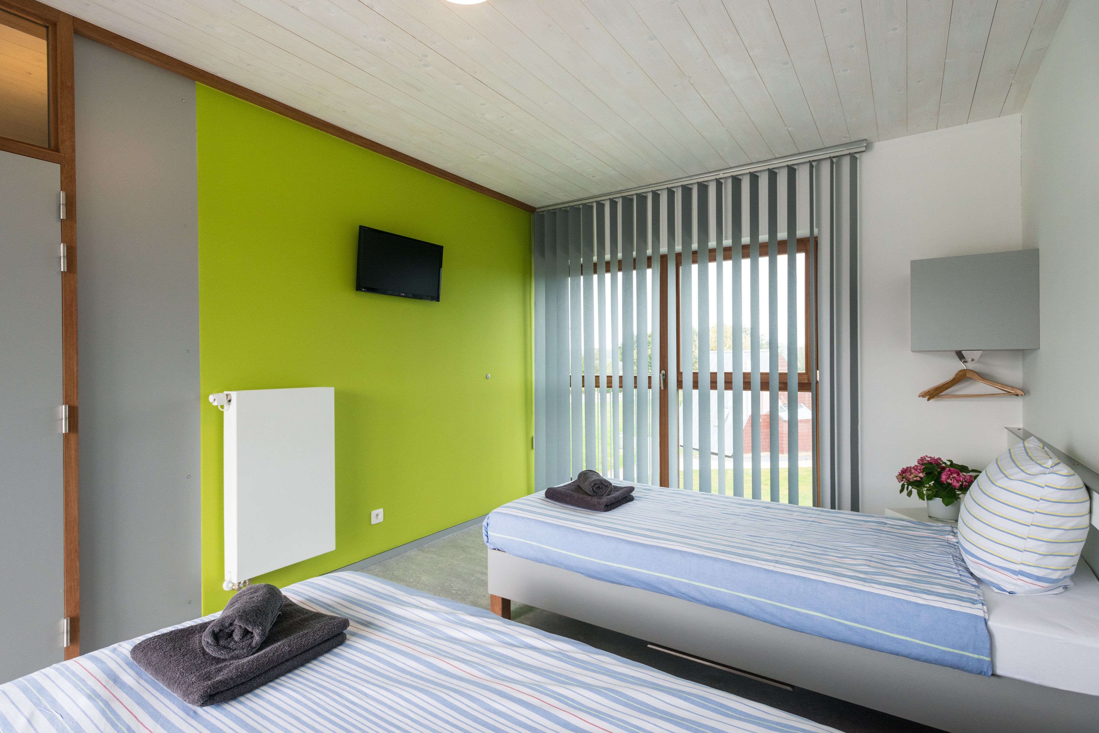 A bedroom with two beds, a green wall, a TV, and a window with blinds.