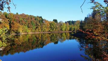 Een rustig meer omgeven door herfstkleuren, met een heldere weerspiegeling van bomen en een gebouw in de verte.