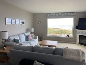 智能电视、壁炉、书