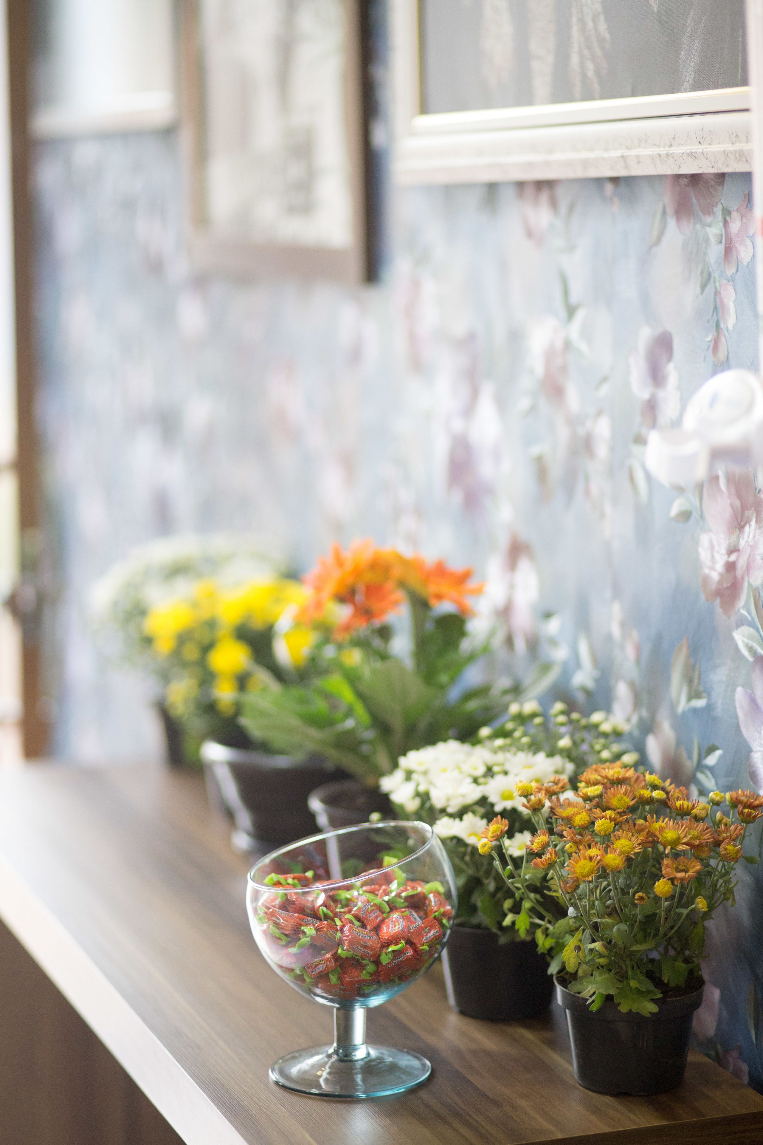 Foto - Infinity Hotel