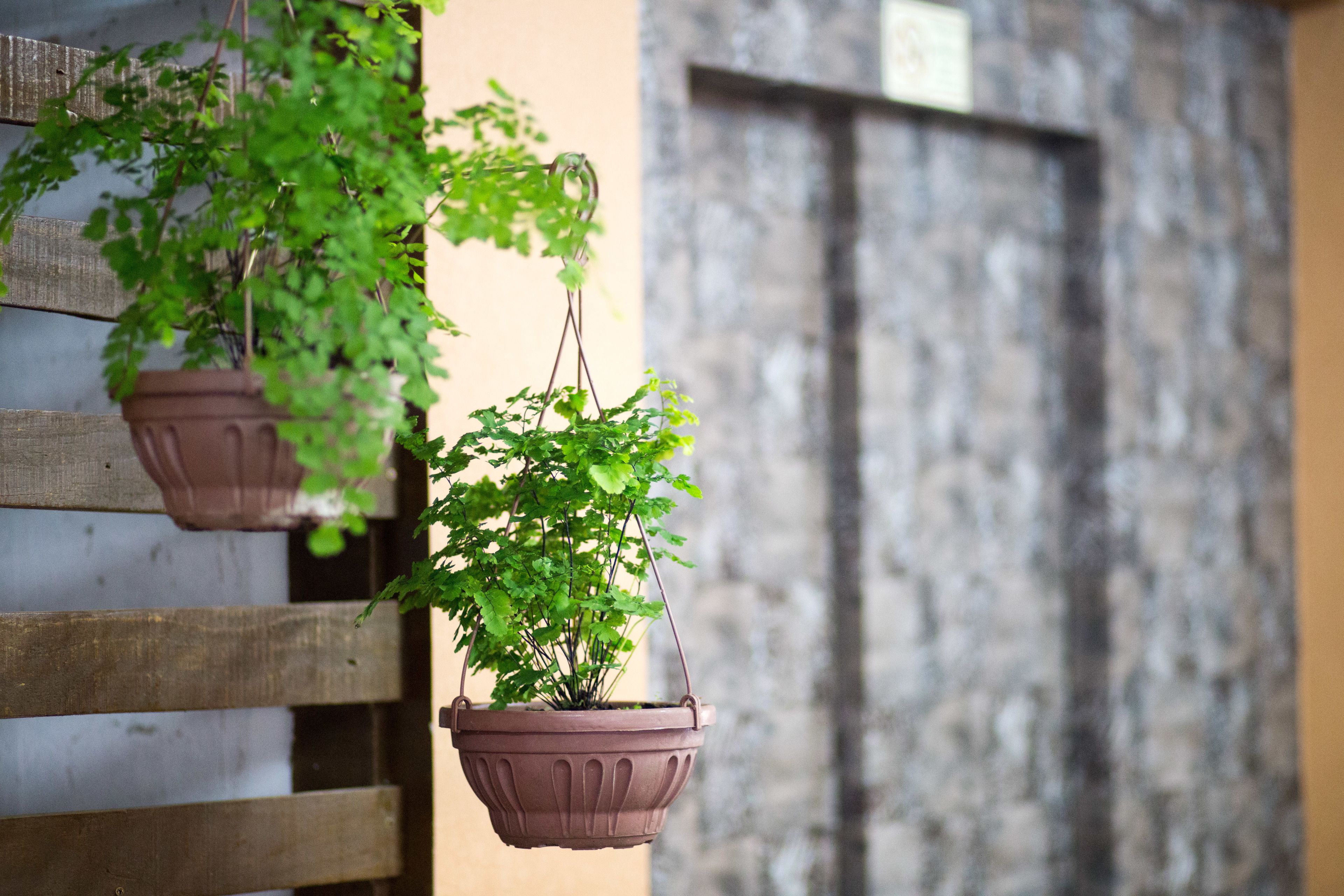 Foto - Infinity Hotel