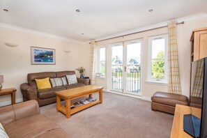 Flat-screen TV, books