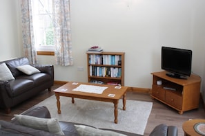 Flatskjerm-TV og bøker