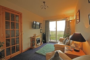 تلفزيون بشاشة مسطحة، مدفأة