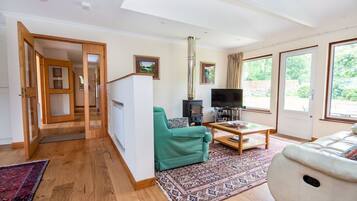 Flat-screen TV, fireplace, ping pong, books