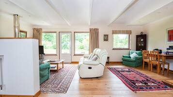 Flat-screen TV, fireplace, ping pong, books