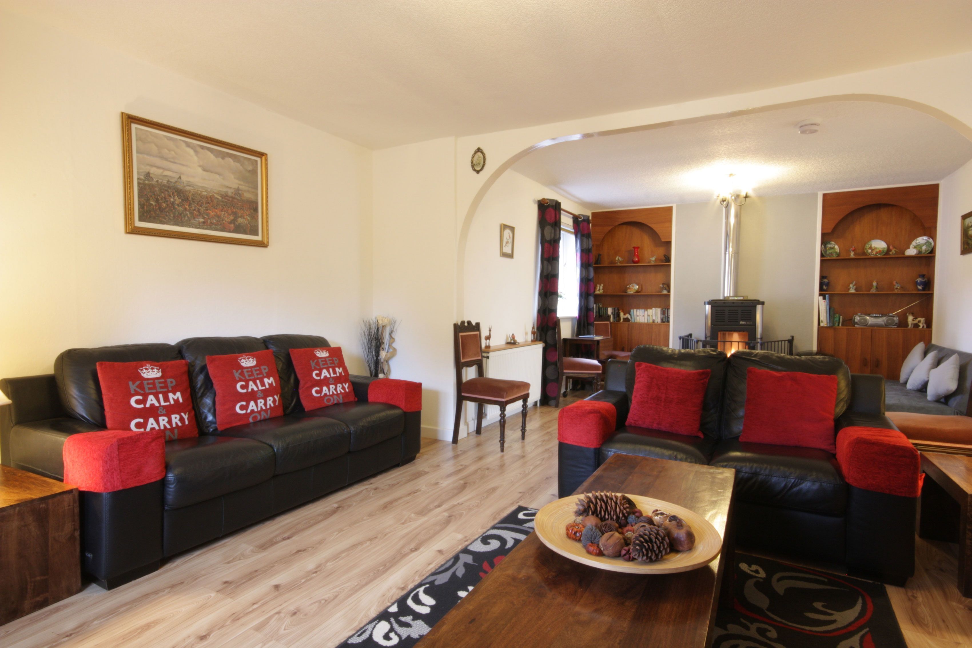 Flat-screen TV, fireplace, books