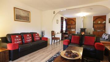 Flat-screen TV, fireplace, books