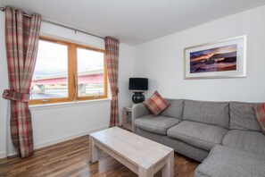 Flat-screen TV, DVD player