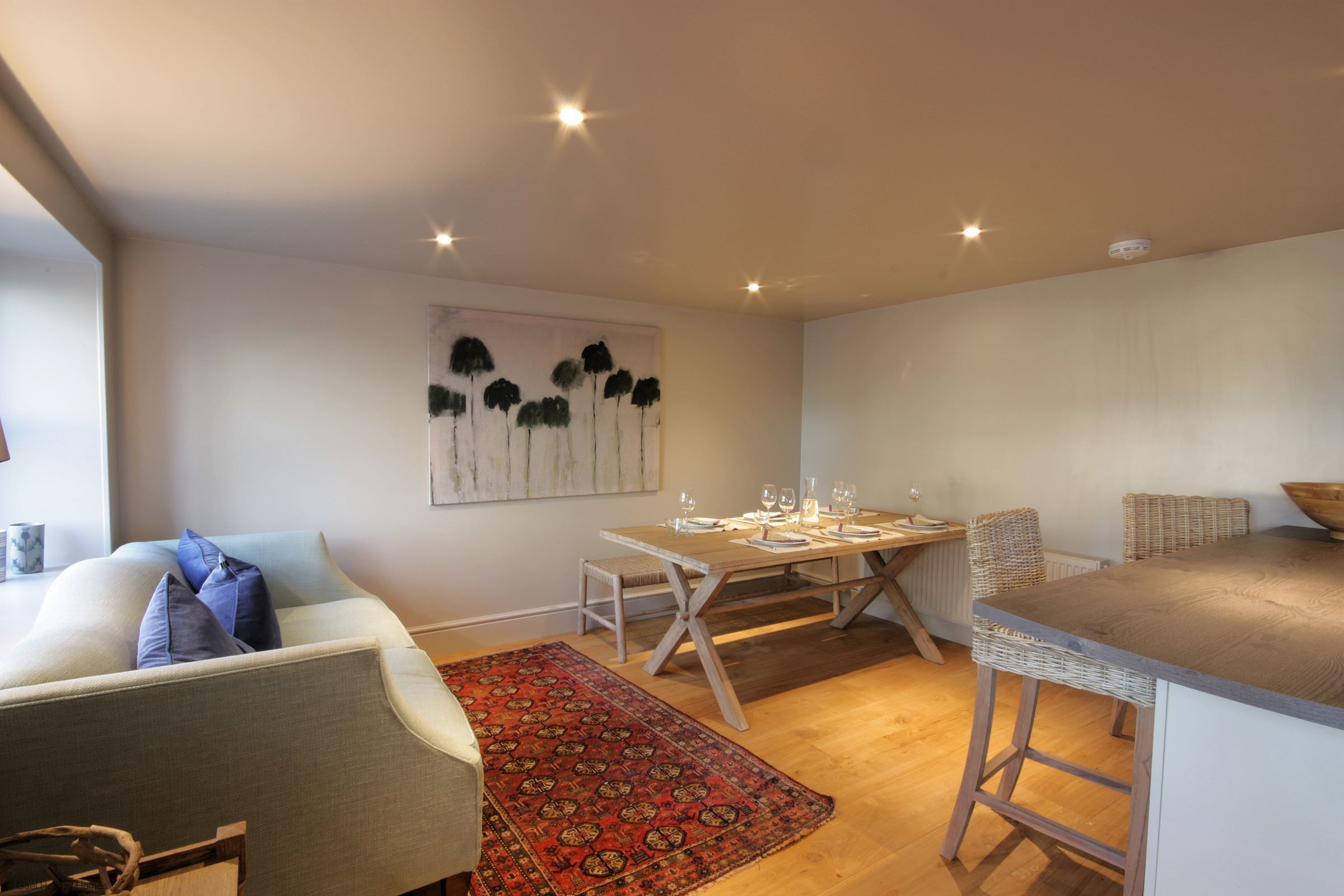 Flat-screen TV, fireplace, DVD player, books