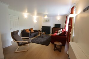 Flat-screen TV, fireplace