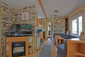 Flat-screen TV, fireplace, DVD player