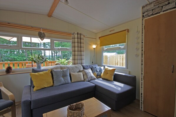 Flat-screen TV, fireplace, DVD player