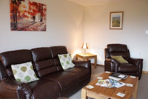 Flat-screen TV, fireplace, books
