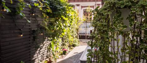 A narrow alleyway with a brick path, a wooden fence, and a hanging plant with green leaves.