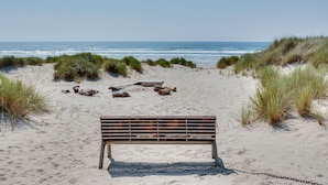 Een strand met een houten bank en drijfhout.
