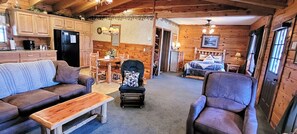 智能电视、壁炉、DVD 播放器