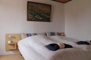 Een strijkplank/strijkijzer, extra bedden, gratis wifi, beddengoed