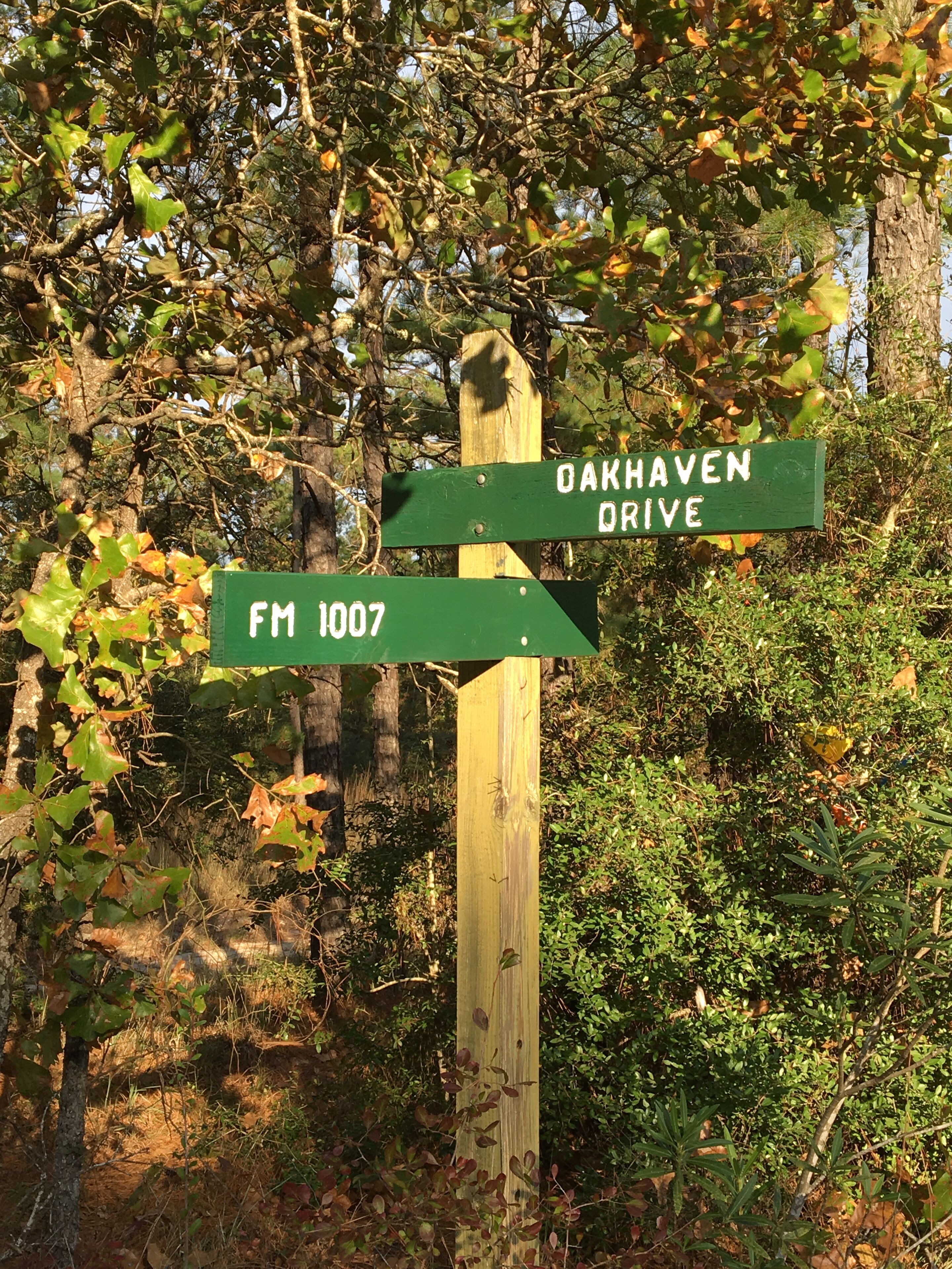 Un letrero de madera con indicaciones hacia Oakhaven Drive y FM 1007.