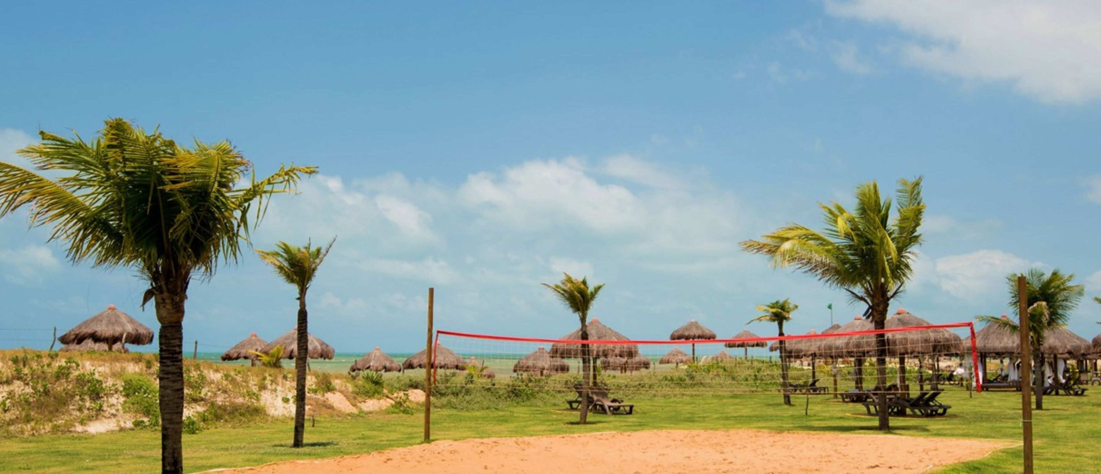 Una spiaggia con un campo da pallavolo, una rete, palme e capanne con tetto di paglia.