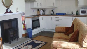 A compact living space with a kitchenette, a sofa, a fireplace, and a blue trash bin. - Garden Cottage & Granary (Ross-on-Wye)