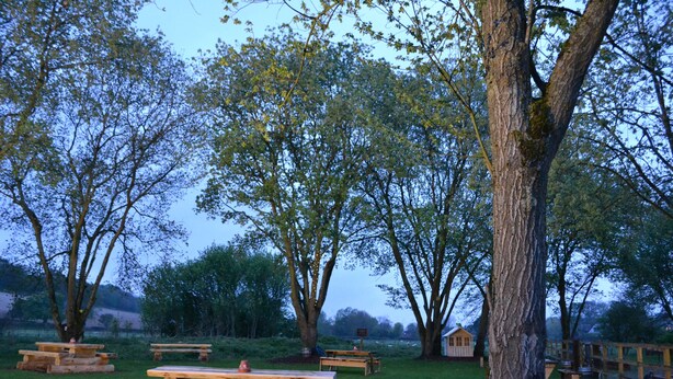 A picnic area with wooden benches and picnic tables surrounded by trees.