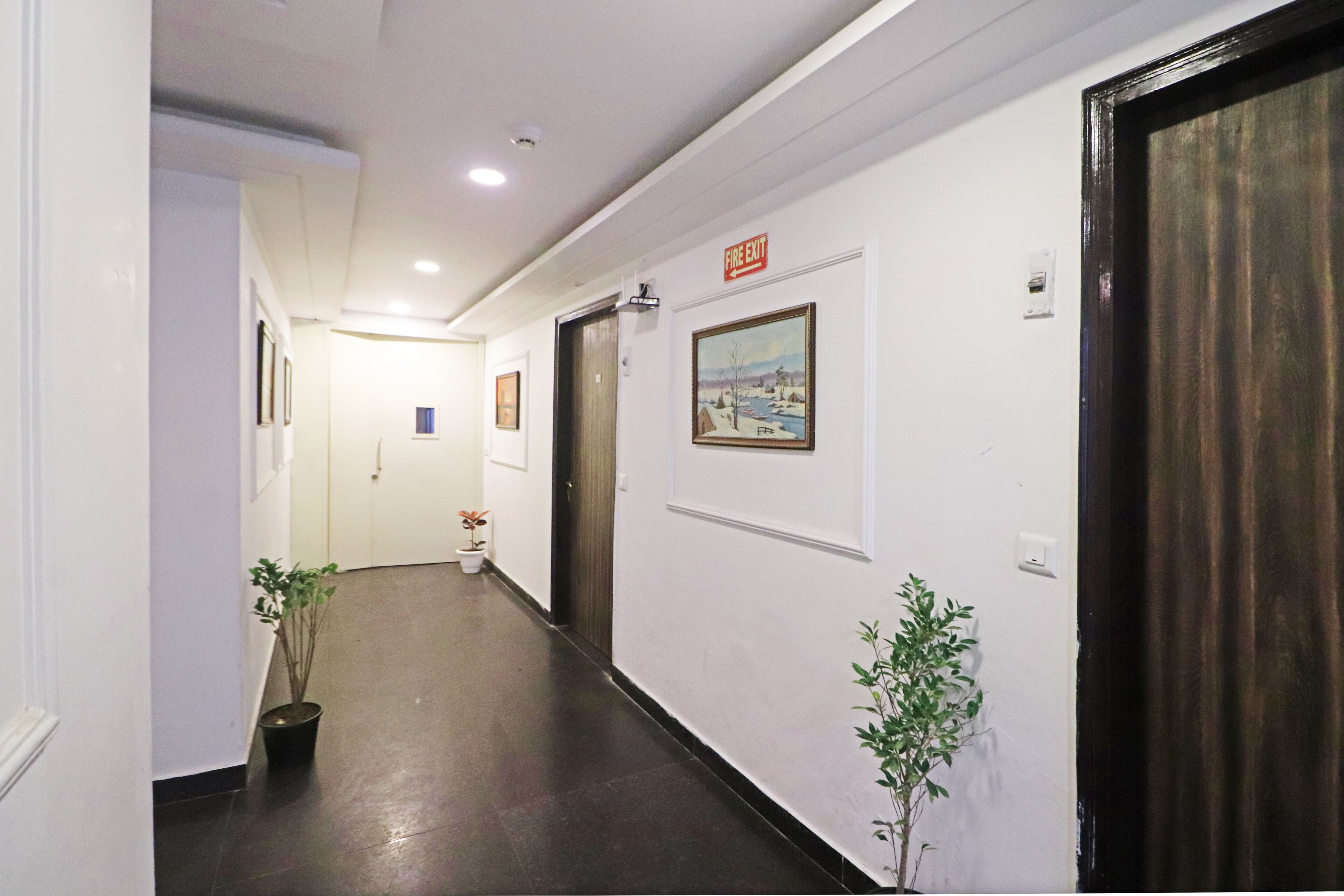 A hotel hallway with a dark floor, white walls, and a fire exit sign. There are framed pictures on the walls and potted plants along the hallway.