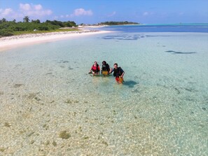 On the beach, scuba diving