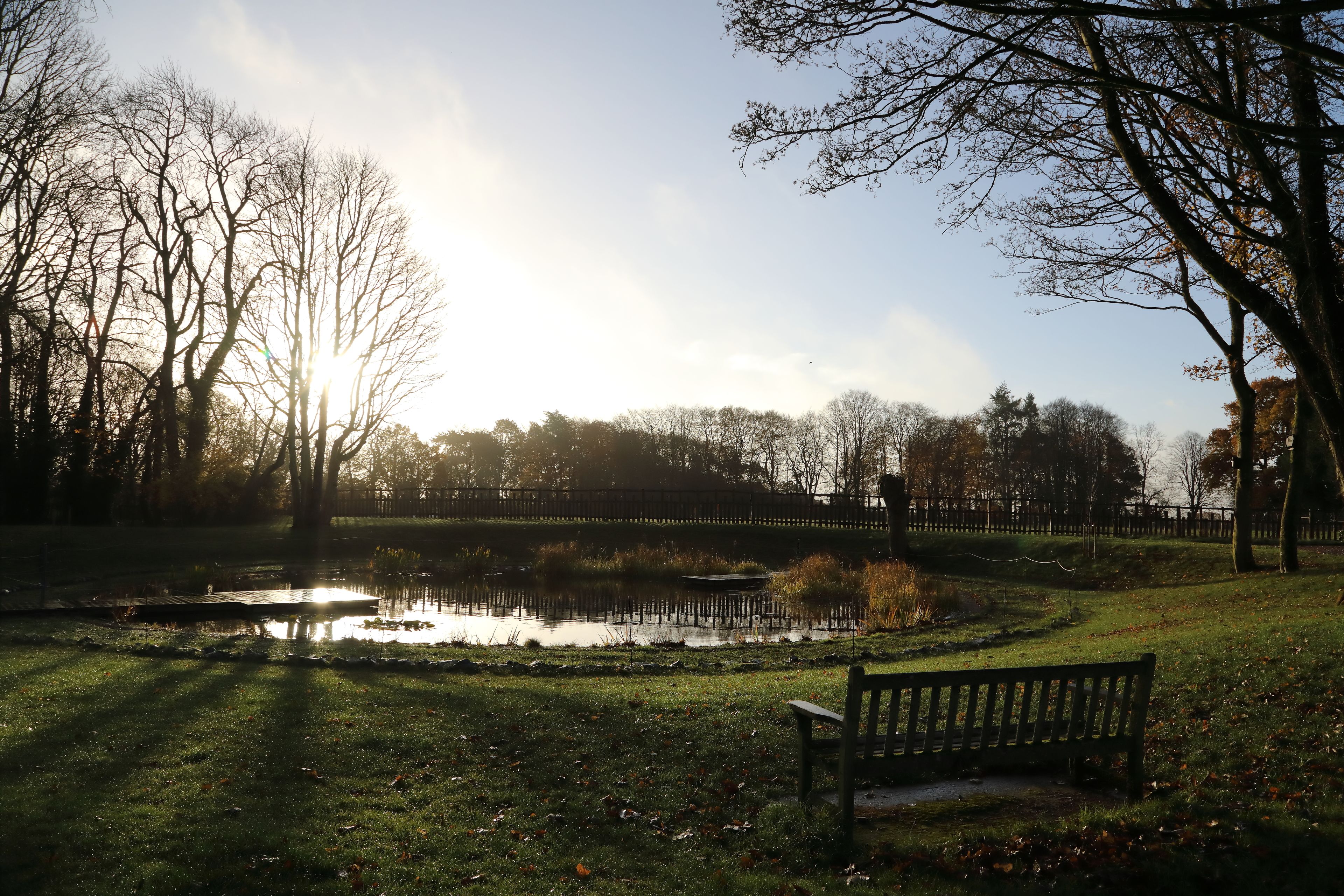 Taman