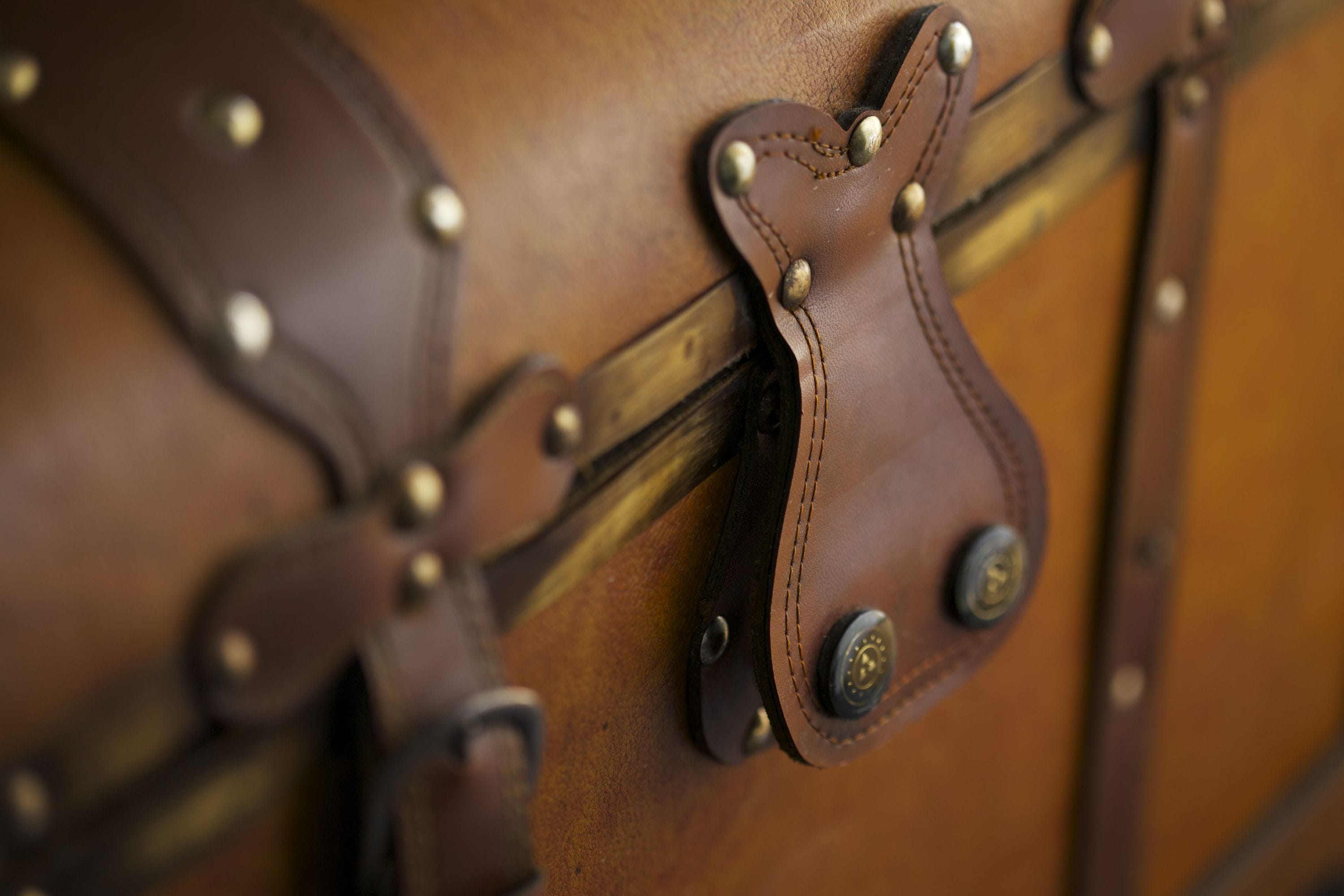 A close-up of a brown leather strap with metal rivets and a buckle.