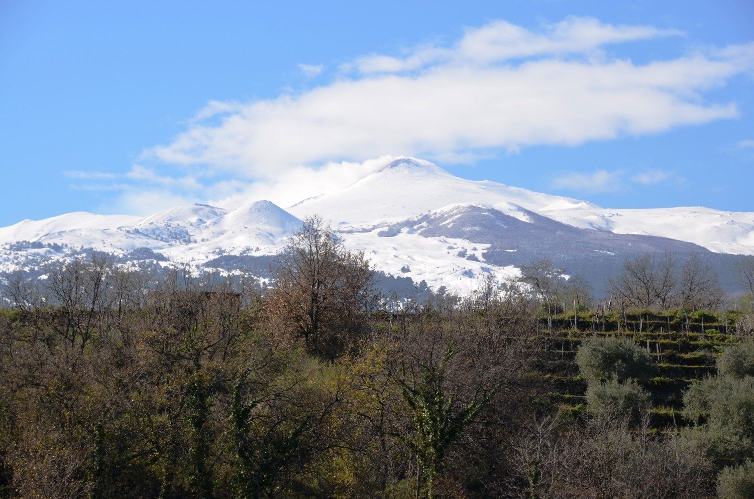A snow-covered mountain range with a clear sky.