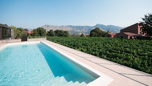 A rectangular swimming pool with clear blue water, surrounded by a tiled deck. In the background, there is a vineyard with rows of grapevines and a mountainous landscape. - Cavanera Etnea Resort & Wine Experience (Castiglione di Sicilia)