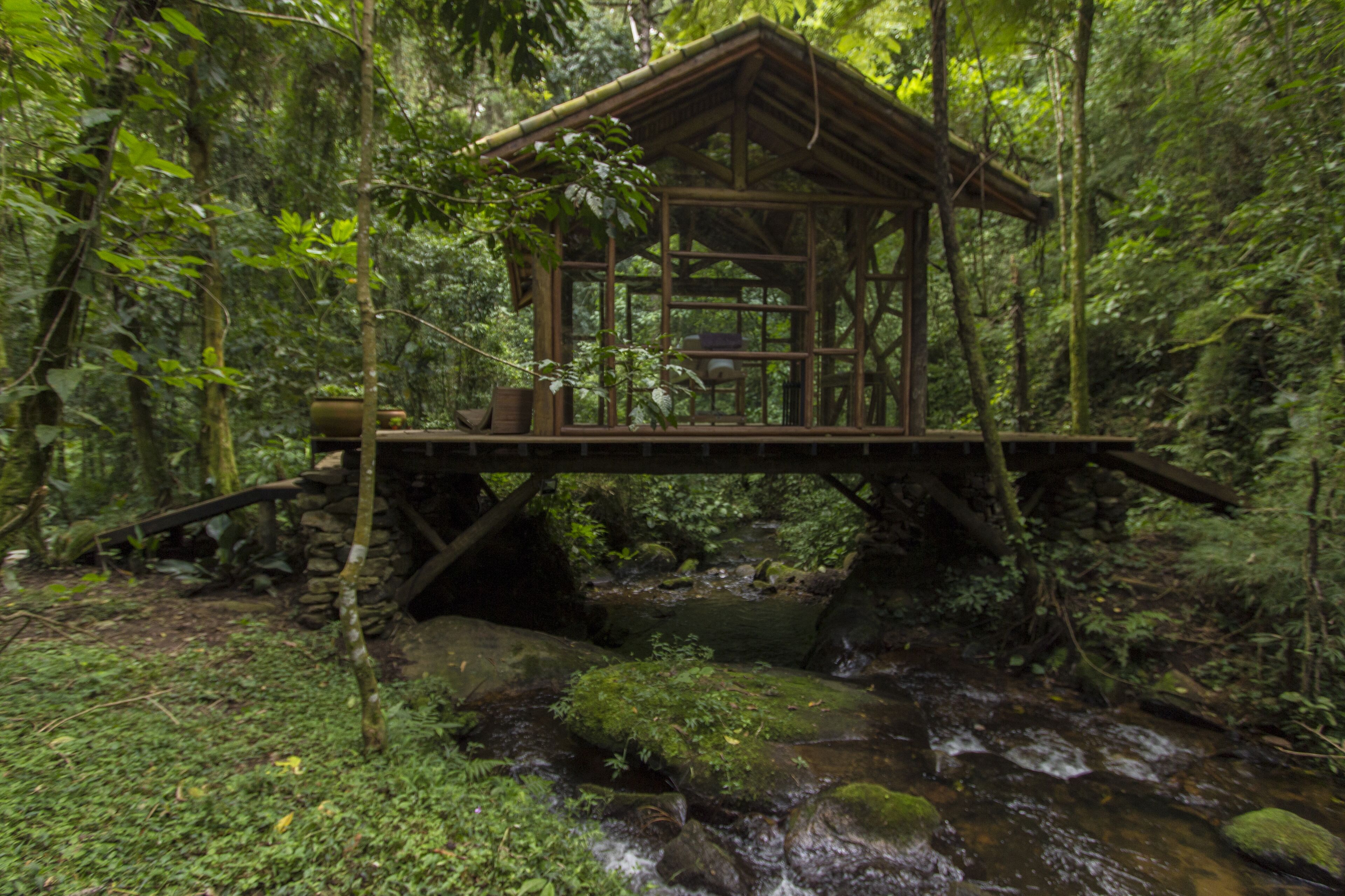 Una estructura de madera con techo de paja, ubicada sobre un arroyo en un área boscosa.