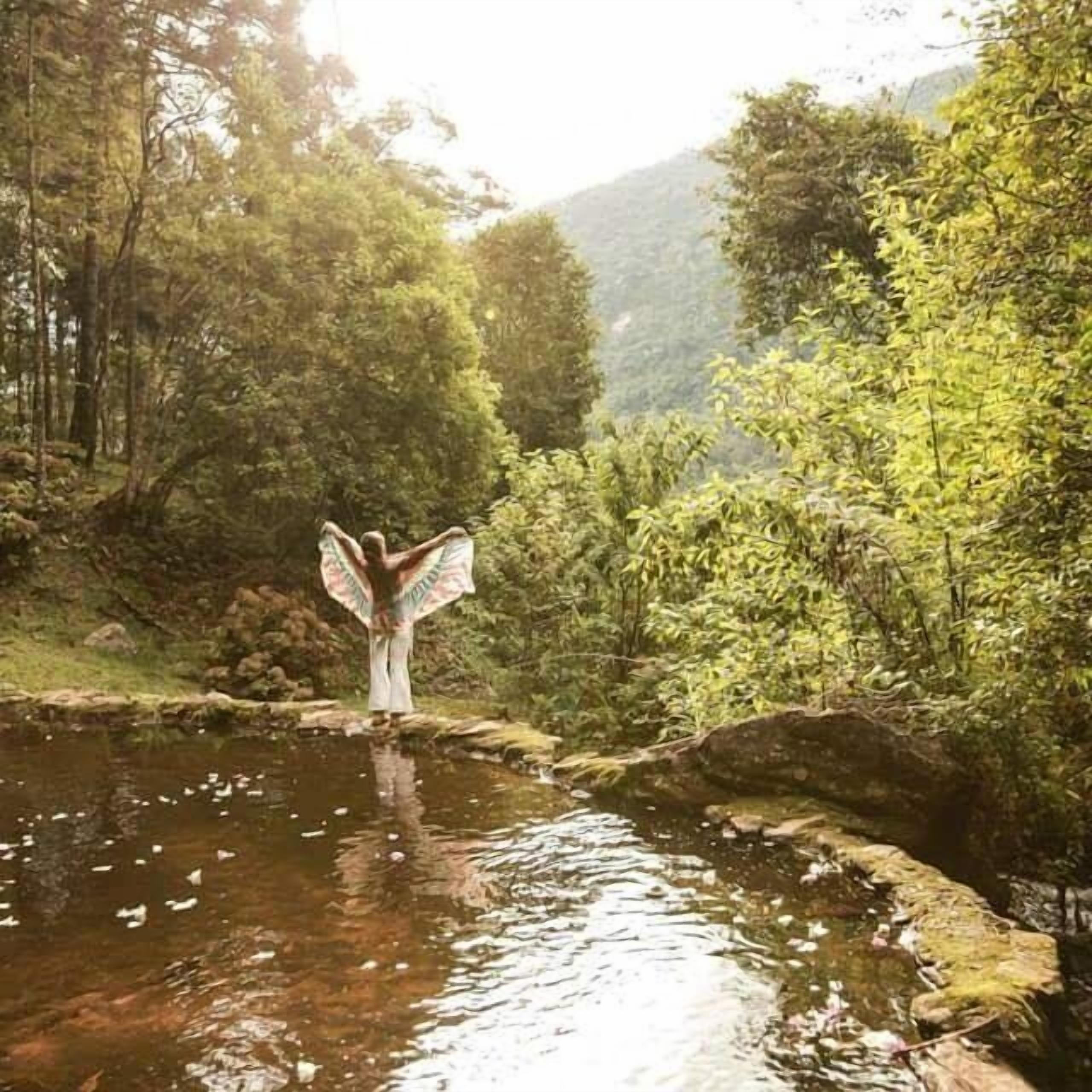 A serene outdoor setting with a body of water, surrounded by lush greenery and trees.