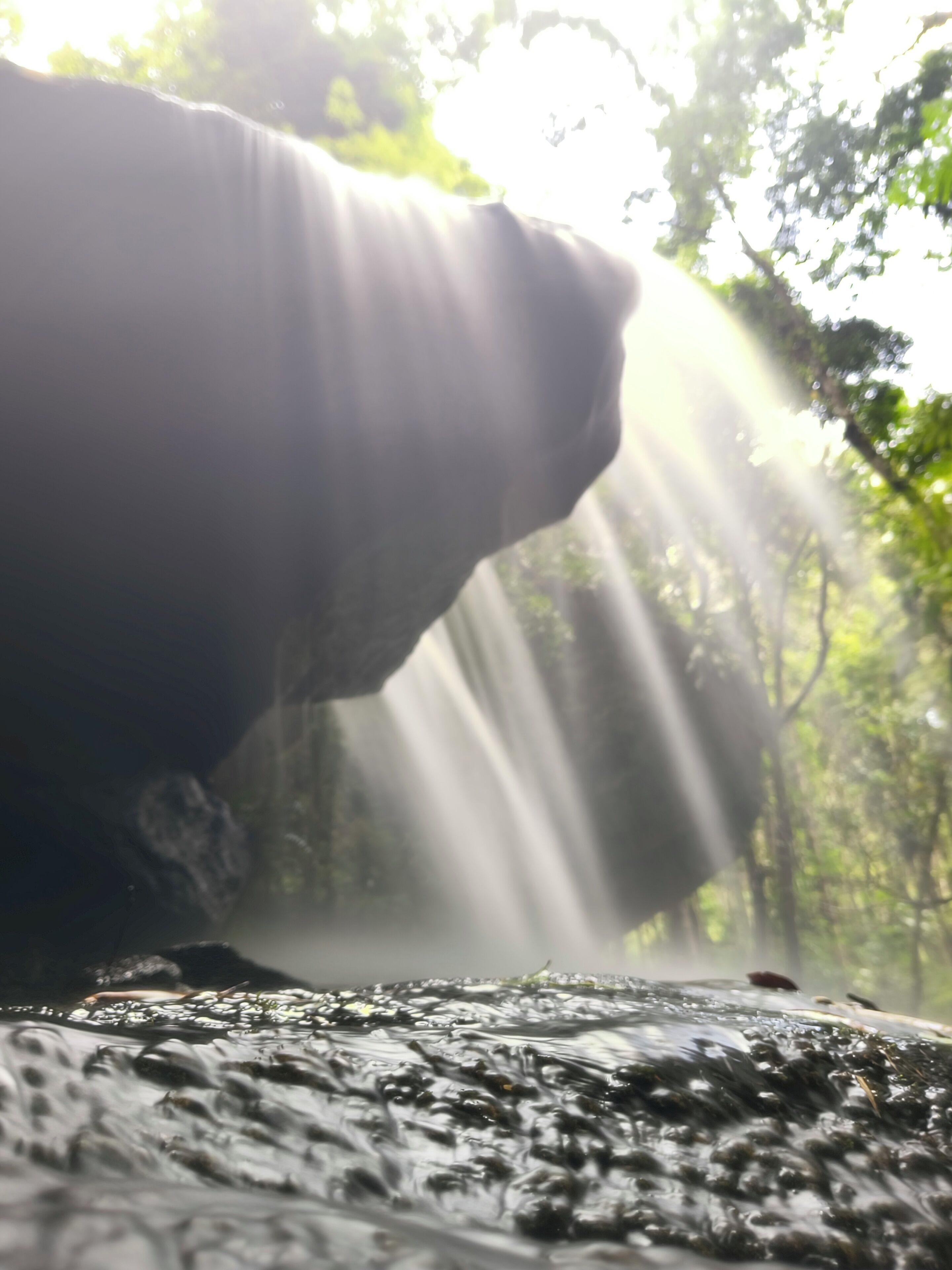 الإطلالة من المنشأة