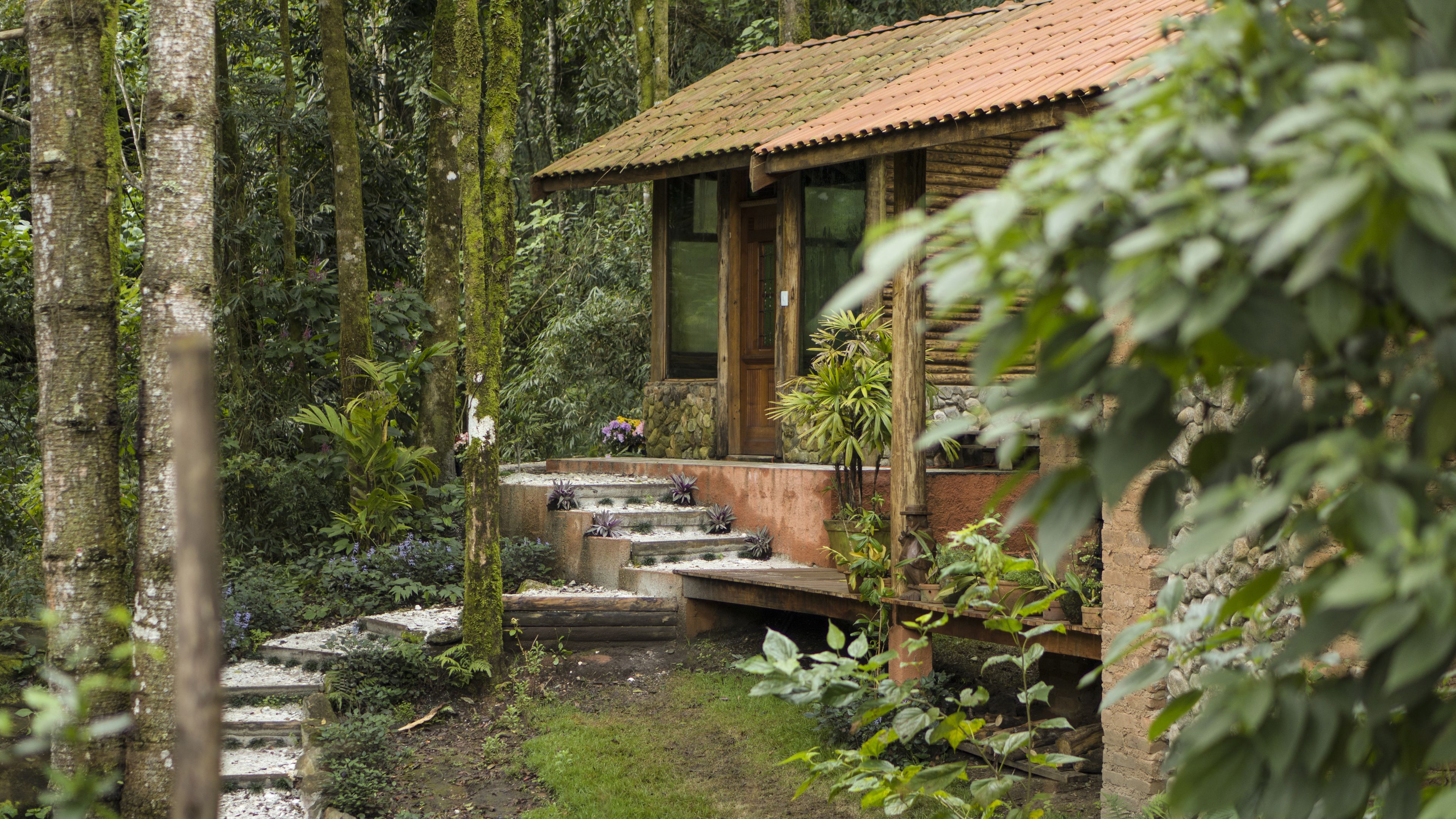 A rustic wooden cabin with a tiled roof, surrounded by lush greenery and a stone staircase leading to the entrance.