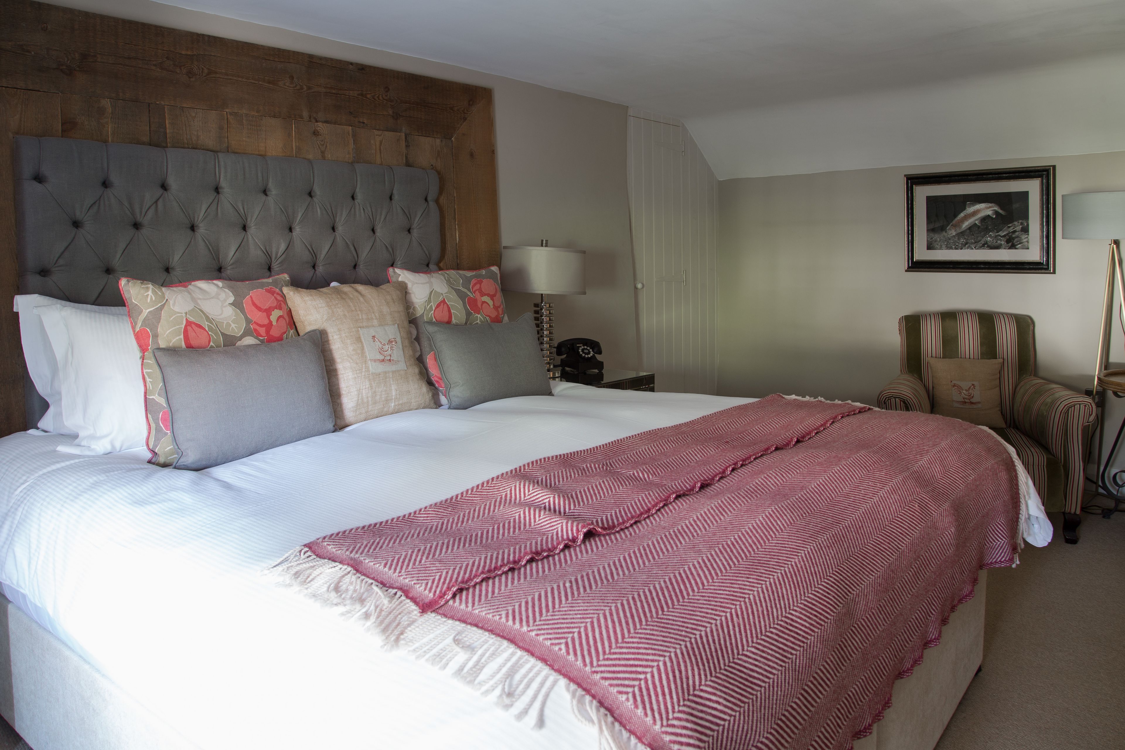 Comfort Room | Egyptian cotton sheets, premium bedding, down comforters