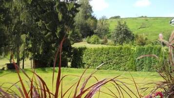 A garden with various plants and a hedge in the background.