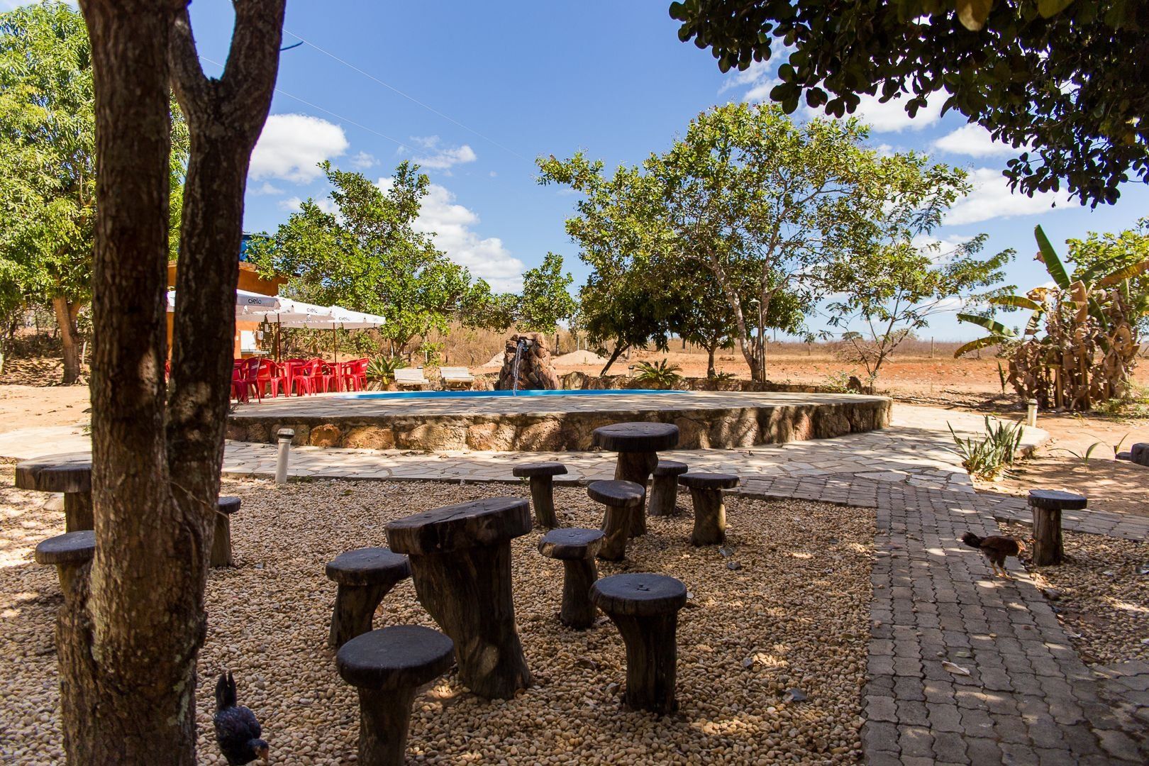 Uma área externa com mesas e bancos de madeira redondas, piscina e um espaço de refeições com cadeiras vermelhas.