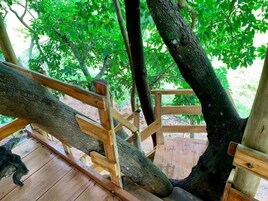 木屋 | 住宿场地