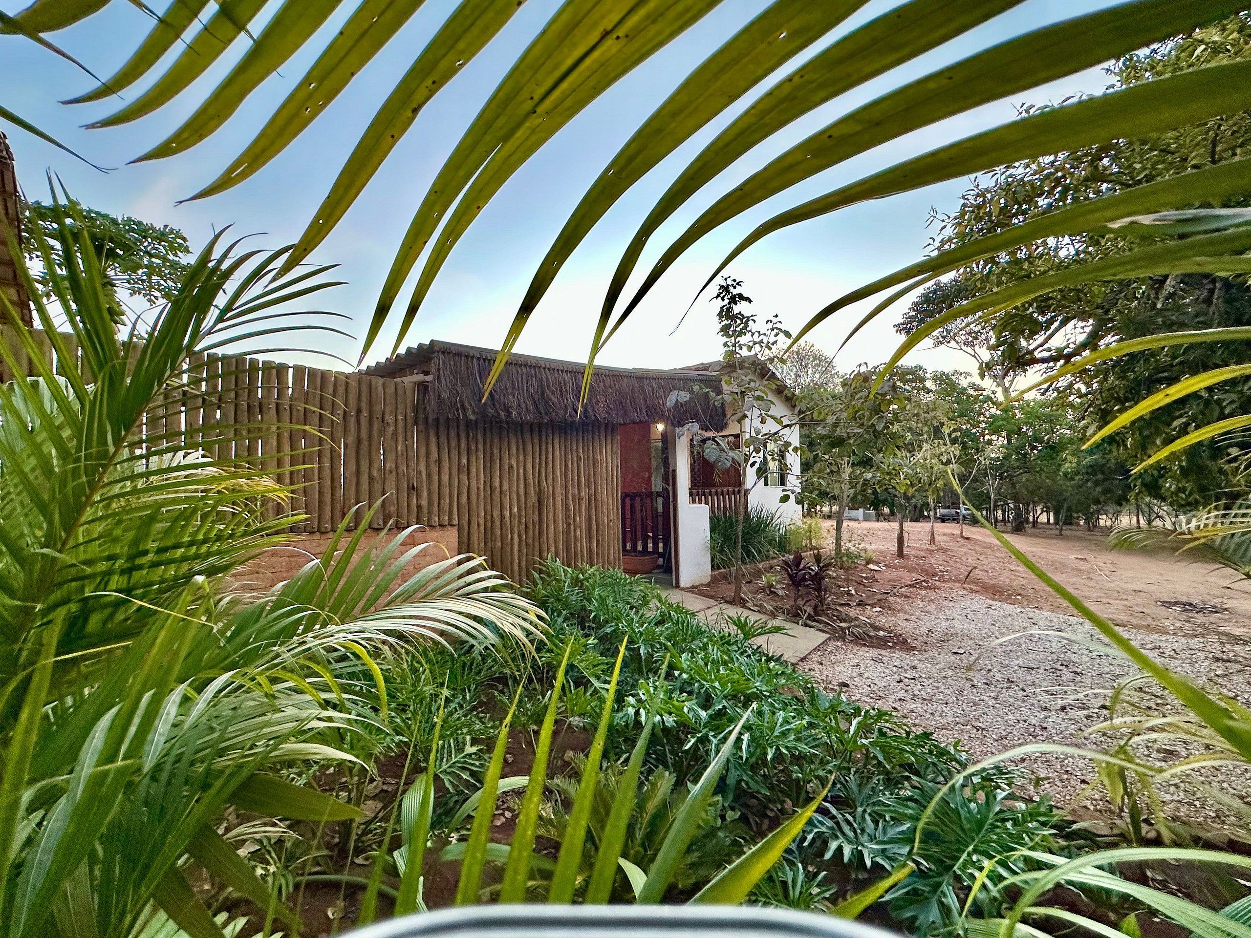 Un edificio rústico con techo de paja, rodeado de exuberante vegetación y un camino de grava.