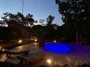 Outdoor pool, sun loungers