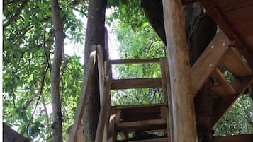 Una scala in legno conduce a una piattaforma di legno, circondata da alberi.