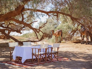 Aperto a colazione, pranzo e cena, cucina marocchina 