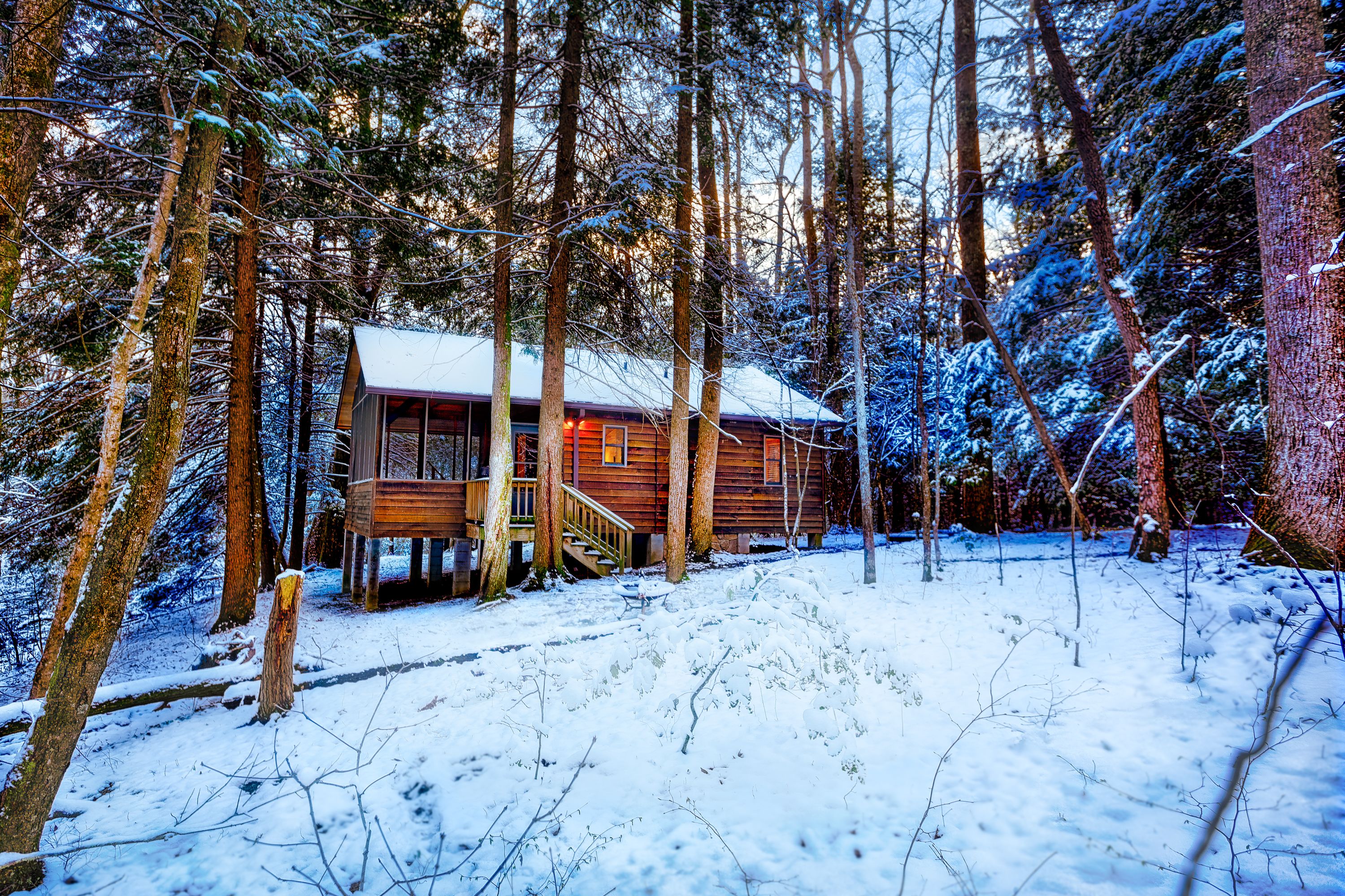 A wooden cabin surrounded by tall trees in a snowy forest.