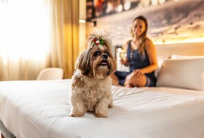 Phòng Executive, 1 giường đôi | Nệm có lớp đệm bông, minibar, két bảo mật tại phòng, bàn 